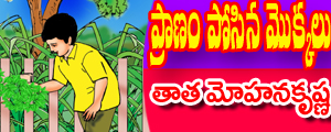 Pranam posina mokkalu